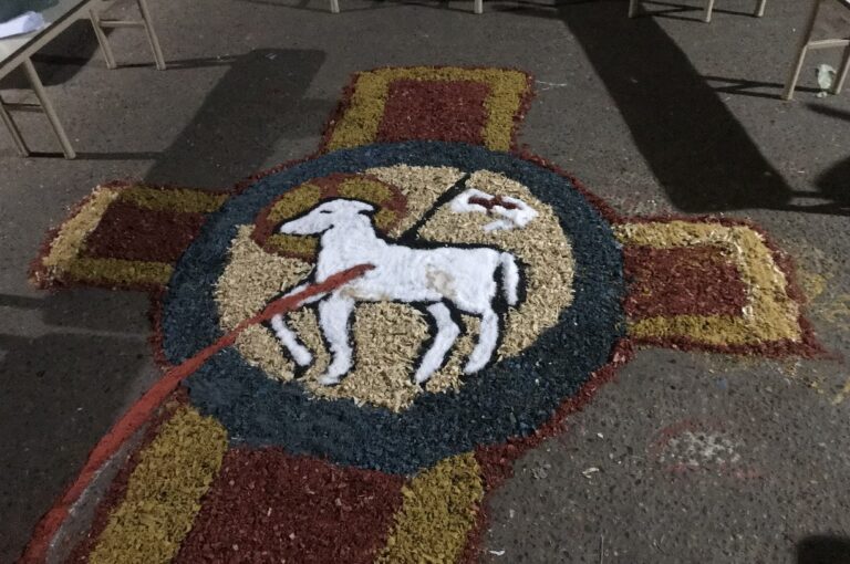 Instituto San Martín de Porres - Vida escolar 5